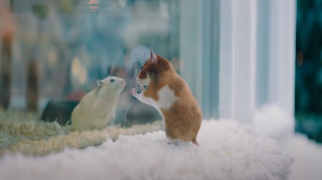 [column] De beste decembercommercials van 2021