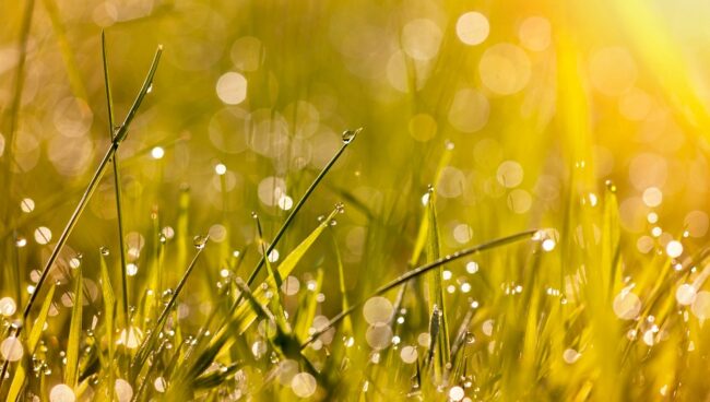 [column] Zomer zonder zon
